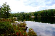 Photo: Pisgah State Park