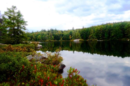 Photo: Pisgah State Park