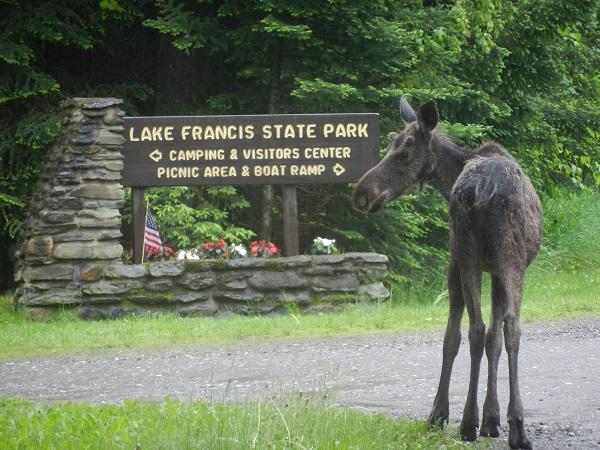 Campground Details - Lake Francis State Park, NH - New Hampshire Division  of Parks and Recreation