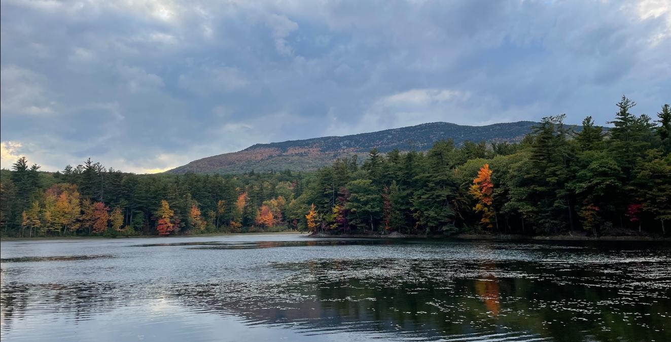 Campground Details - Monadnock State Park Gilson Pond Area, NH - New  Hampshire Division of Parks and Recreation