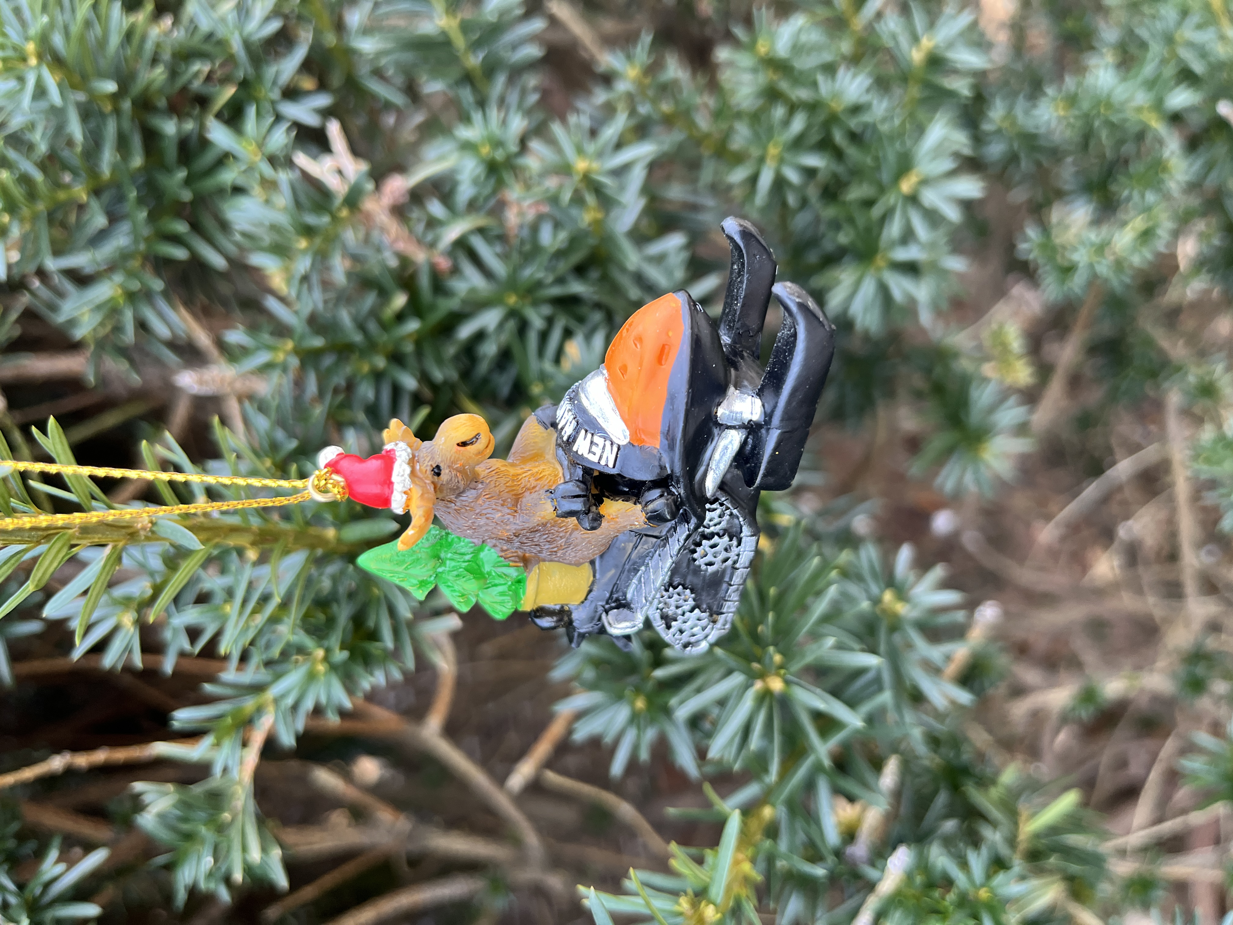 Snowmobiling Moose Ornament-IMG_2231