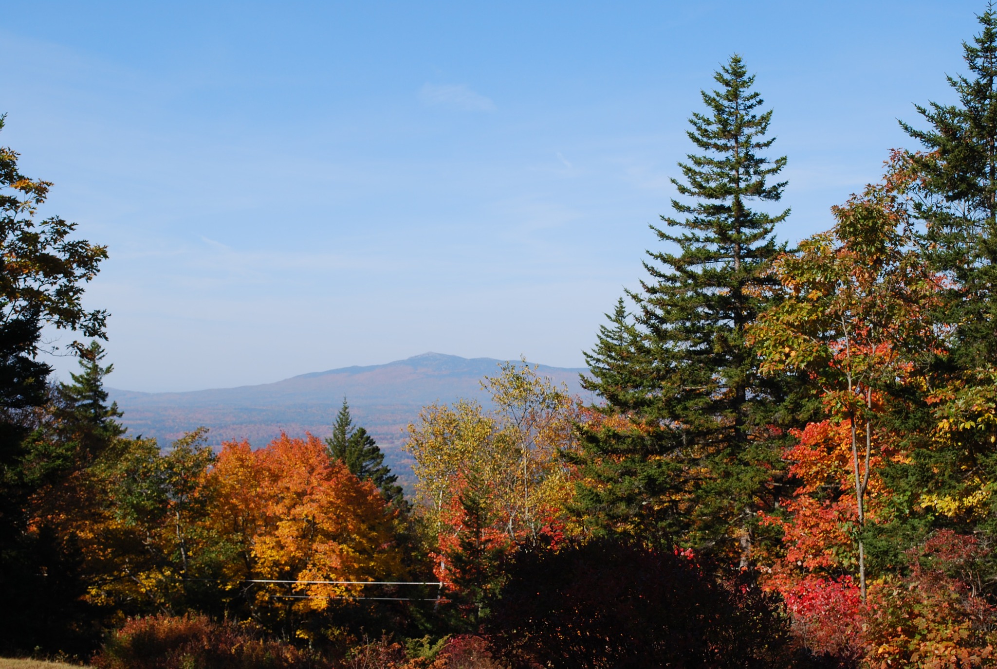 Online Donation to Miller State Park-Miller