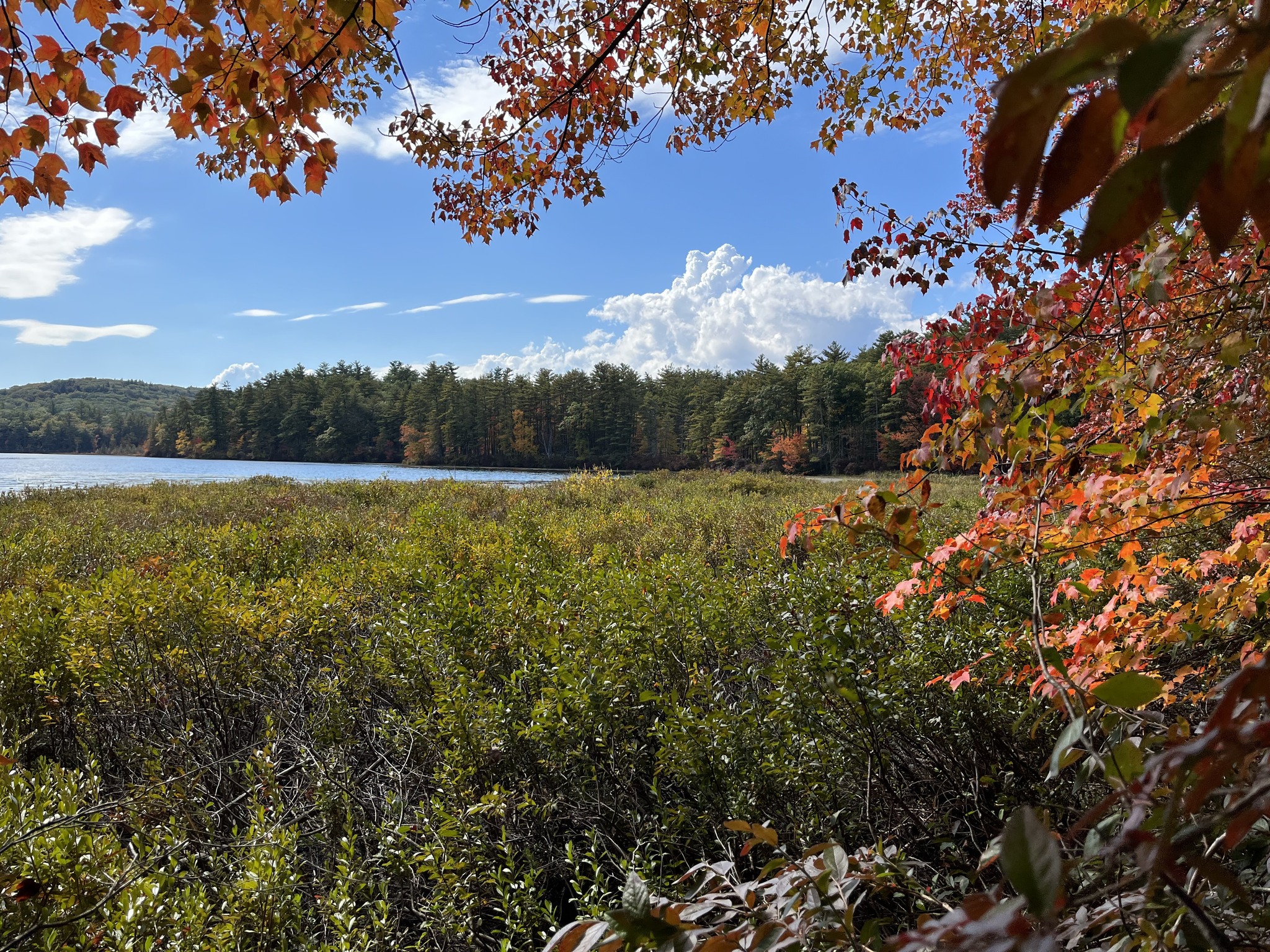 Online Donation to Bear Brook State Park-Bear Brook