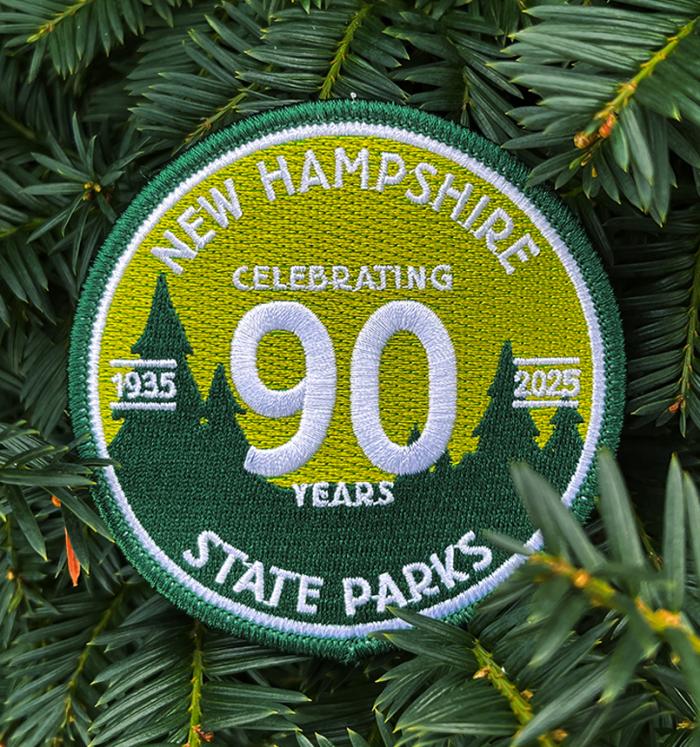 90th Anniversary Patch-90th_anniversary_patch