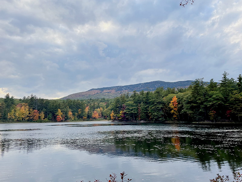 Online Donation to Monadnock State Park-Monadnock GPA