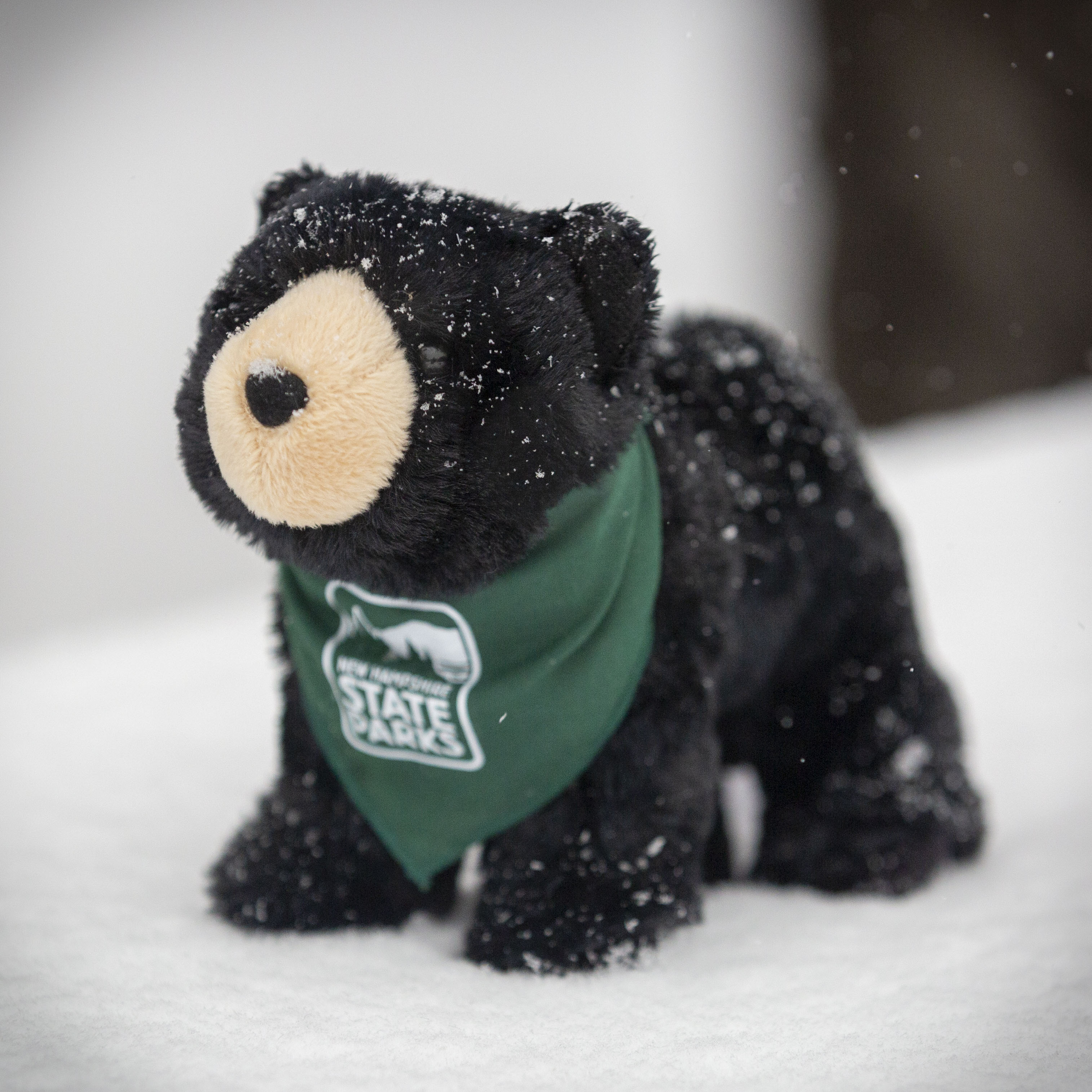 state-parks_bear-stuffy