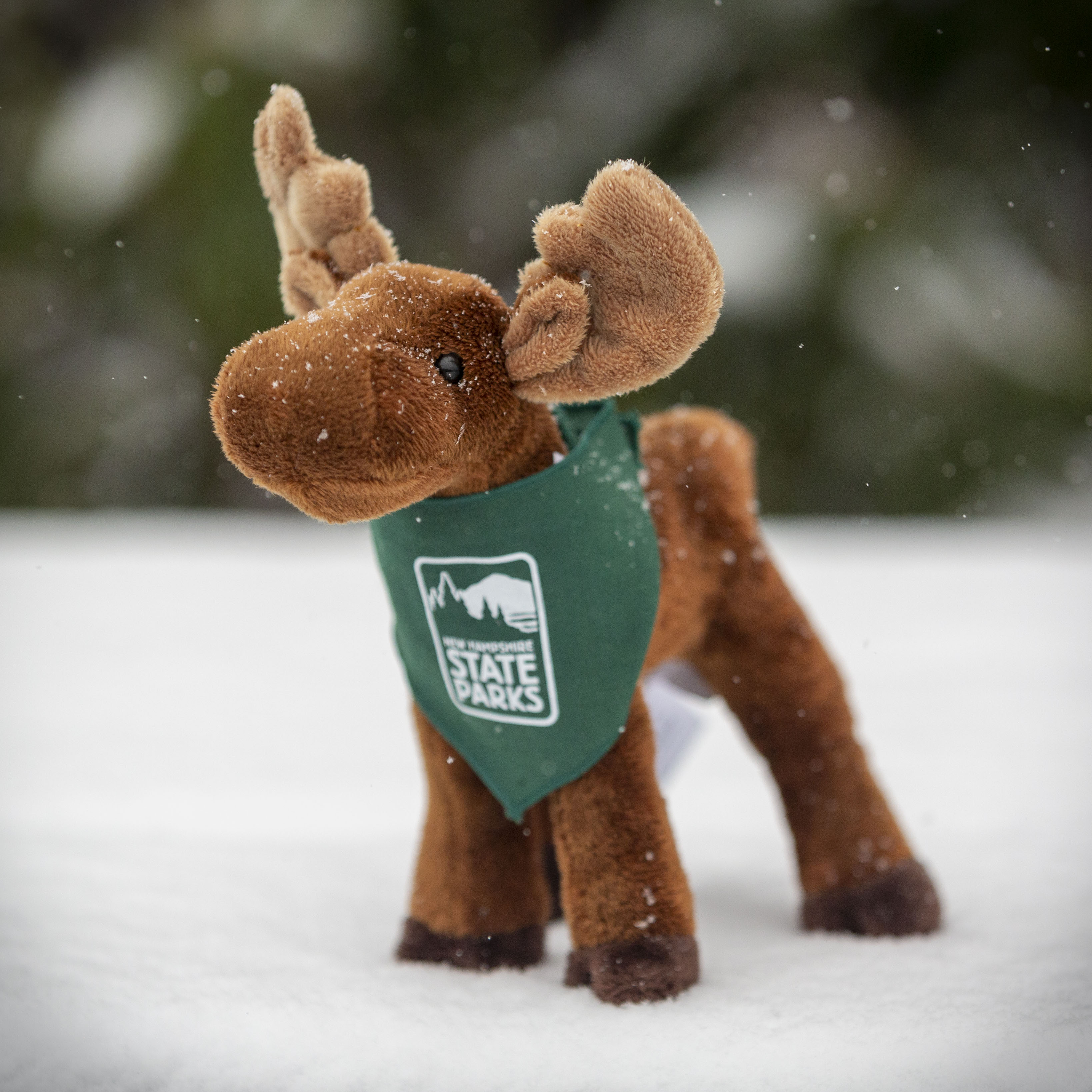Photo of State Parks Moose-Plush (Incl.S&H