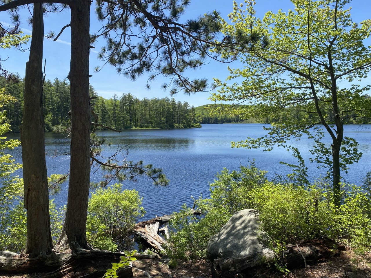 Online Donation to Bear Brook State Park-Bear Brook2