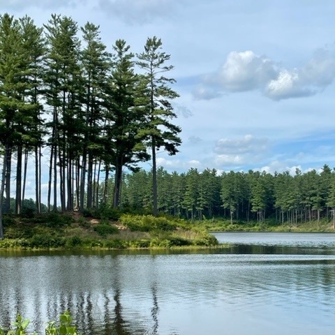 Online Donation to Clough State Park-clough13